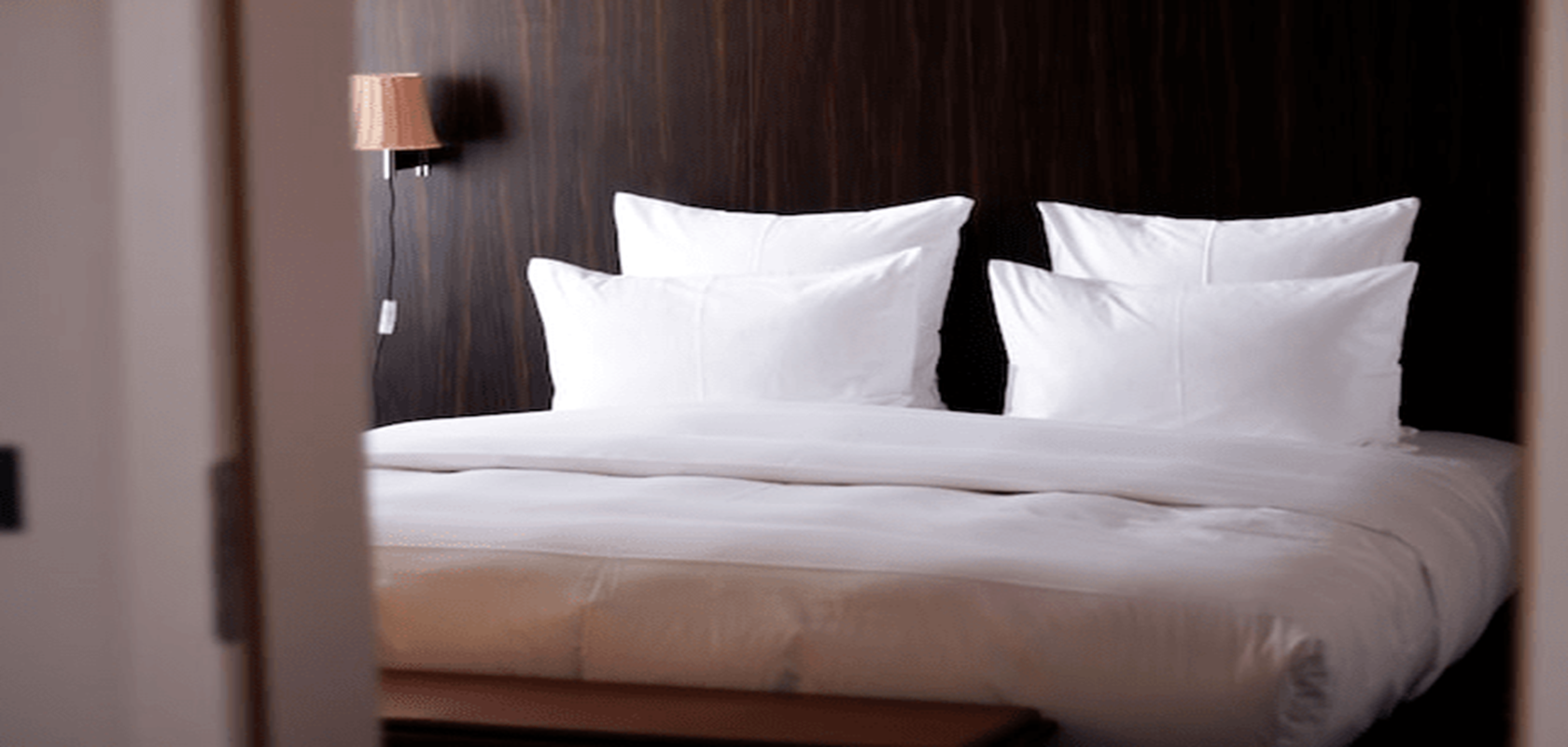Pet-friendly hotel room in Marcellaz-Albanais